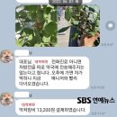 [단독] 후크엔터 권진영 대표, 2년간 직원에게 '수상한 약 심부름' 이미지