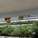 유봉농장 이미지