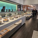 Y.C 엔터테인먼트 | 일본항공 A350-1000 장거리 이코노미 후기 (25년 12월 탑승, 댈러스 포트워스 국제공항 → 도쿄 하네다...