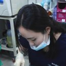 정희유통 | 신사 이중턱 실리프팅 가격? '이것'을 확인하세요.