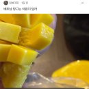 에이아이씨 이미지