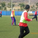 평림구장 이미지