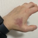 팀크라운 이미지