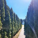 표선면 동산식당 | [제주] 2월 2박3일 가족여행 - 함덕해수욕장, 제주허브동산, 광어다 표선본점,스테이밀밀