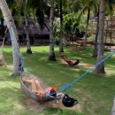 [동네아저씨의 세계여행기] 필리핀 코론섬(CORON)에서 누리는 휴식 이미지