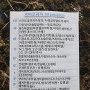 돼지만왕소금구이 - 계양구 계양문화로 44 | 돼지만왕소금구이