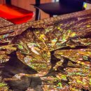 노원-상계-2590 이미지