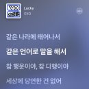 [오사카 D+4] 대노, 극대노, 흥분, 햅삐를 넘나드는 다이나믹한 데이식스 월드투어 후기