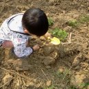 기훈농장 이미지