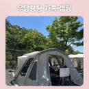 캠핑 와서 육아가 쉬웠다… 아이들 만족도 미쳤던 의령 더멍스테이