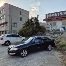 훔쳐온제주도새기