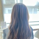 예진잡화 | 청량리 미용실 박승철헤어 예진 디자이너 케라스타즈 클리닉 후기