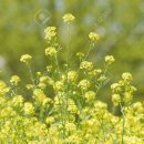 신다문화행정사 이미지