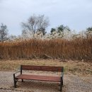 우리동네 행정사 사무소 이미지