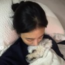 보라