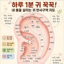 하루 1분 귀 꾹꾹! 내 몸을 살리는 ’귀 혈자리‘ 완벽 지도 이미지