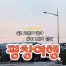 바람난강아지 - 송파구 풍성로 59 | 사춘기 아이와 평창 여행 숙소 추천｜강아지 동반 가능한 라마다 평창 펫룸 솔직 후기 (장점·단점 총정리)