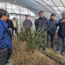 김신중농장 이미지