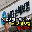 DB손해보험 노동조합 | 예별손해보험이란?: MG손보 계약자 122만명이 알아야 할 모든 것