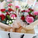 플로라온 이미지