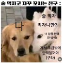 아스라이 이미지