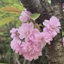 최정원 행정사 사무소 이미지