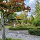 원주시립중앙도서관 | [ 원주] 원주시립중앙도서관에 가다