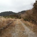 서호동-19 네이버블로그