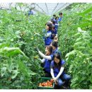 김주철농장 이미지