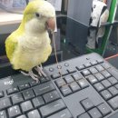 뚜비농장 이미지