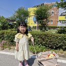 [뭉게구름🩵] 끌차 끌고 산책 다녀왔어요😆 이미지
