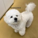 바르다 펫 부산센텀점 이미지