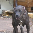 봉곡동011 이미지