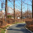 영등포공원 이미지