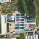 상동1 태양광발전소 이미지