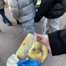 삼쏭 | 새벽에 일어나 잠드는 순간까지도 ဣ