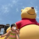 퍼니맥스 | 6월🌿🫒💛