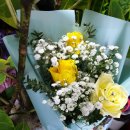 각골 초등학교 병설유치원 이미지