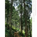 민주-51차] 10月/통영/미륵산 (彌勒山)461m - 이미지