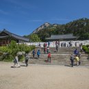 봉암사 - 1772 | 봉암사