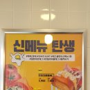 에그셀런트 이미지