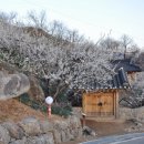 광양농원 이미지