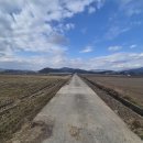 조은날부동산공인중개사사무소 이미지