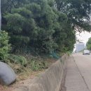 익령군 이치 묘소 이미지