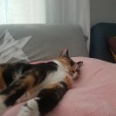 다와유통 이미지