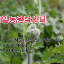 성일농원 이미지