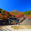 수원-0586 Daum카페