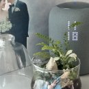 수원-1848 | 내돈내산 수원 테라리움 힐링 데이트코스 추천 풀리움