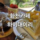 하이 대이리