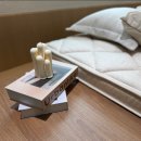 펫67라5267 | [대구 신혼침대 추천] 시몬스 N32 스튜디오 대구점